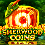 Tabel Top Up Saldo Game Slot Gacor Starlight Princess & Mahjong Ways Termurah Sherwood Coins: Hold & Win